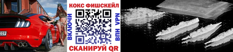 купить  цена  Сасово  МЕГА как войти  COCAIN Эквадор 