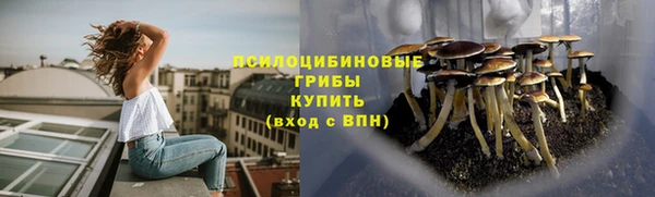 скорость Алзамай
