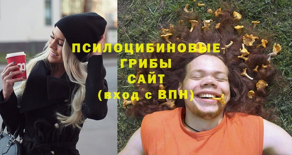 ешки Алексин
