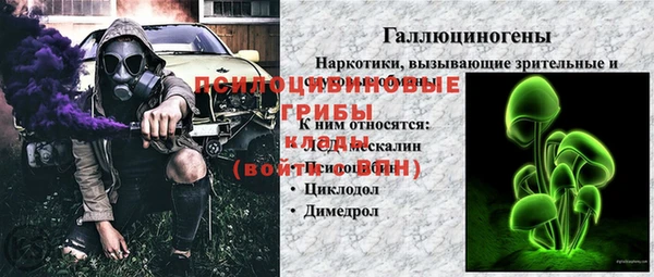 хмурый Алексеевка