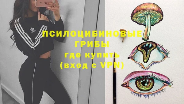 ешки Алексин