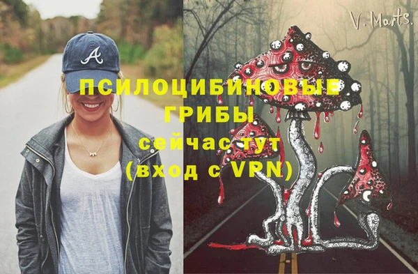 скорость Алзамай